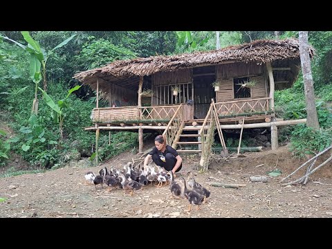 Full Video 120 Days Building New Life Free Farm - Survival Instinct, Wilderness Alone
