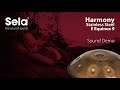 Sela 302 Harmony Handpan E Equinox Stainless Steel  - Retoure (Zustand: sehr gut) thumbnail 11