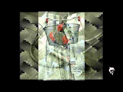 Tom Waits -Broken Bicycles ( Raffaela Siniscalchi)
