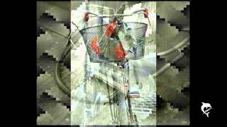 Tom Waits -Broken Bicycles ( Raffaela Siniscalchi)