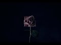 Idontwannabehereanymore