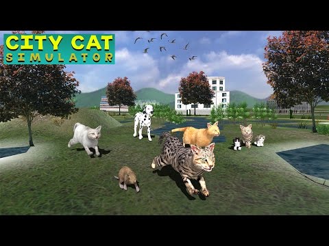 City Cat Simulator Video