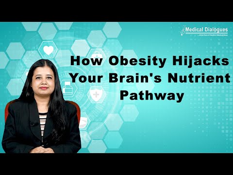 How Obesity Disrupts the Brain's Ability to Respond to Essential Nutrients
