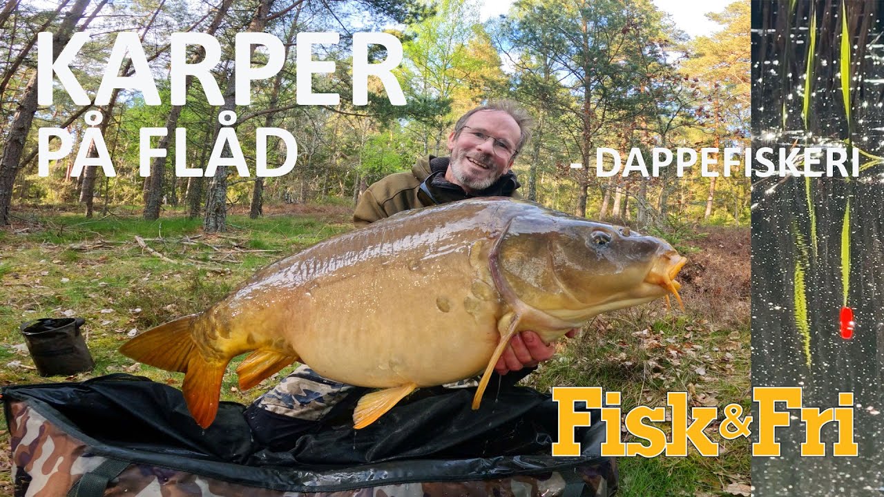 NY VIDEO: FLÅDFISKERI EFTER KARPER