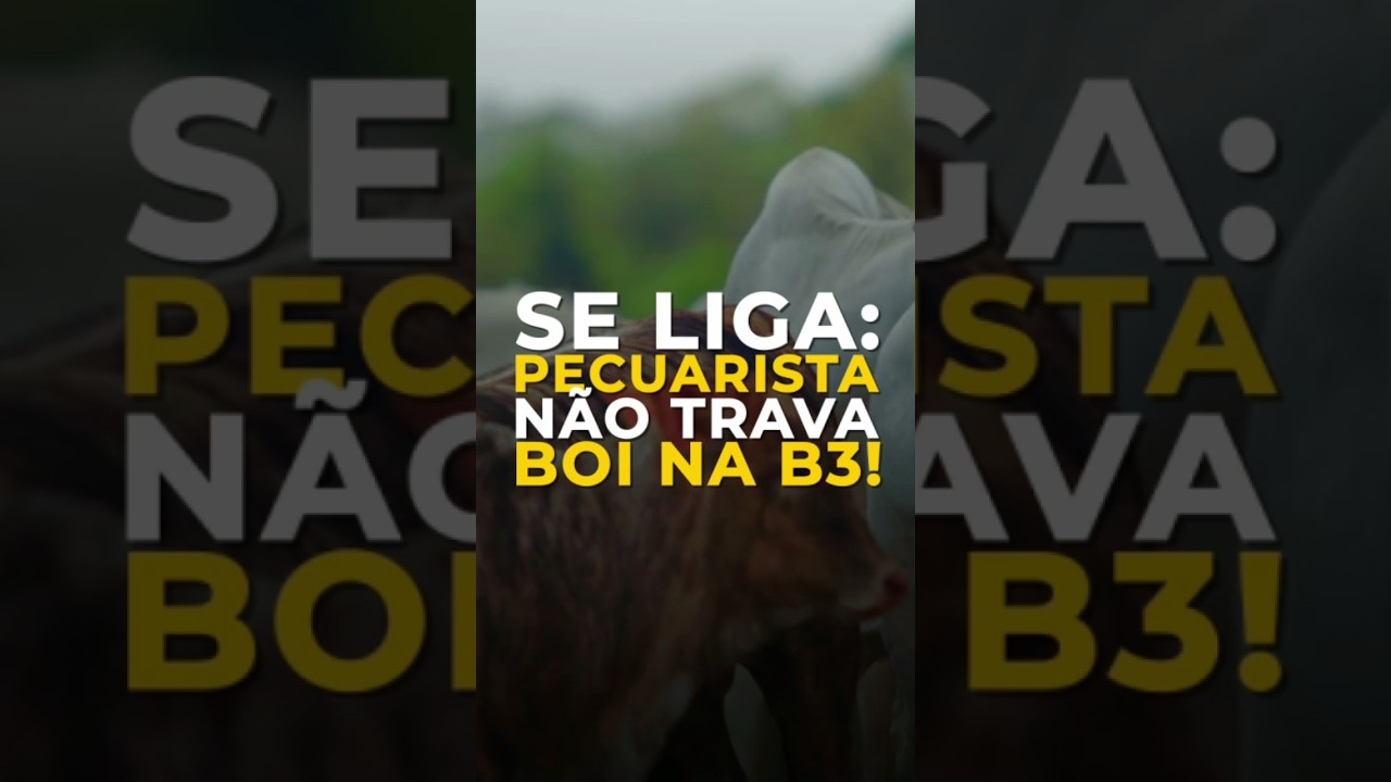 SE LIGA: PECUARISTA NÃO TRAVA BOI NA B3!
