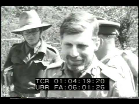 Operation Thursday (Insertion Phase), 1st Air Commando Group, Chindits