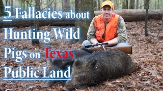 5 Untruths about Hunting Wild Pigs on Texas Public Land