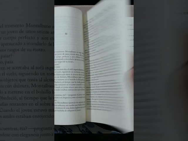 Vídeo relacionado con La concesión del teléfono (Novela)