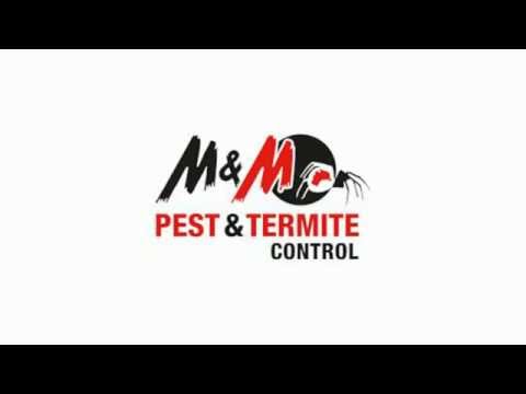 Sydney, Au General Pest Control - Tips On How To Kill Fleas In The House