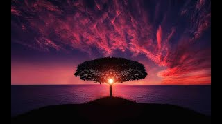 Eine Kleine Nachtmusik - Mozart - Classical Music for relaxation and studying.