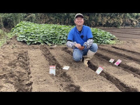 屋内で種から種を蒔く方法 手順 ガーデニングカレンダー 4月