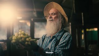 קיימו שבע מצוות שמעולם לא קימתם