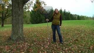 True Temper Steel Tine & Poly Rakes