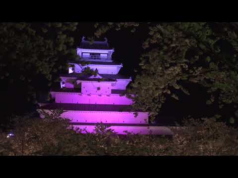 会津若松市 鶴ヶ城の桜夜