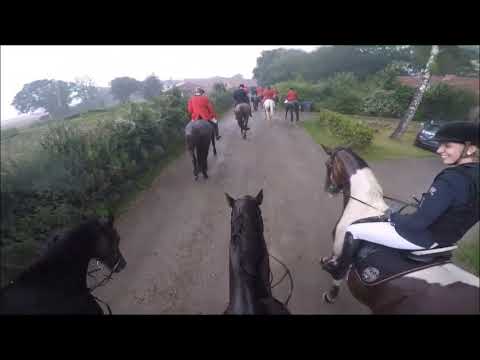 Schleppjagd auf Gut Knoop mit der Warendorfer Meute 10.08.2019.