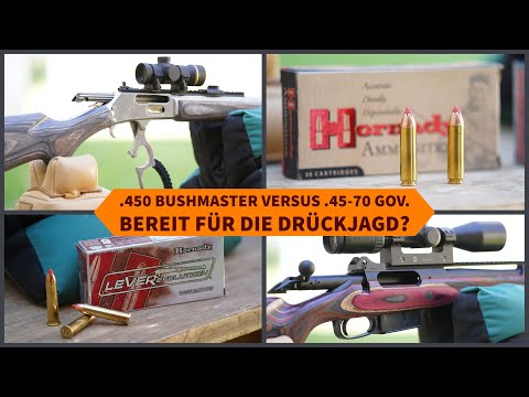 Kaliber-Test .450 Bushmaster und .45-70 Gov.: Sind die US-Kaliber drückjagdtauglich?