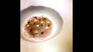 (爽食台南高雄)Day 4
