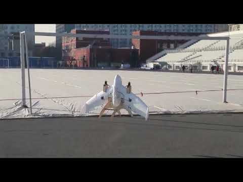 A demo of tailsitter VTOL UAV