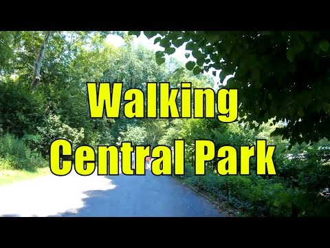 download lagu mp3 mp4 Central Park Summer, download mp3 Central Park Summer free download, download mp3 Central Park Summer