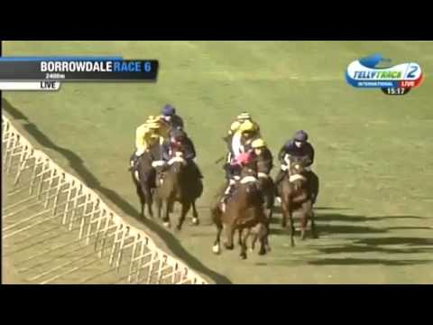 2016.04.24 Zimbabwe Derby - Mathematician