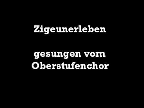 RWG Schulkonzert - Zigeunerleben