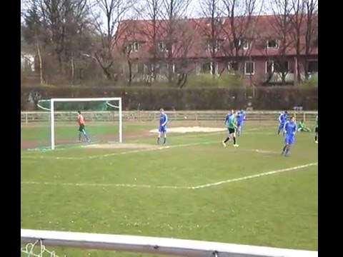 Wespe II - Fortuna II