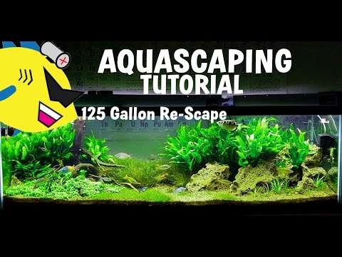 AQUASCAPING TUTORIAL - How To Aquascape - 125 Gal Re-Scape