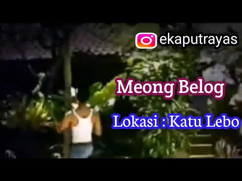 A.A Raka Sidan - Meong Belog