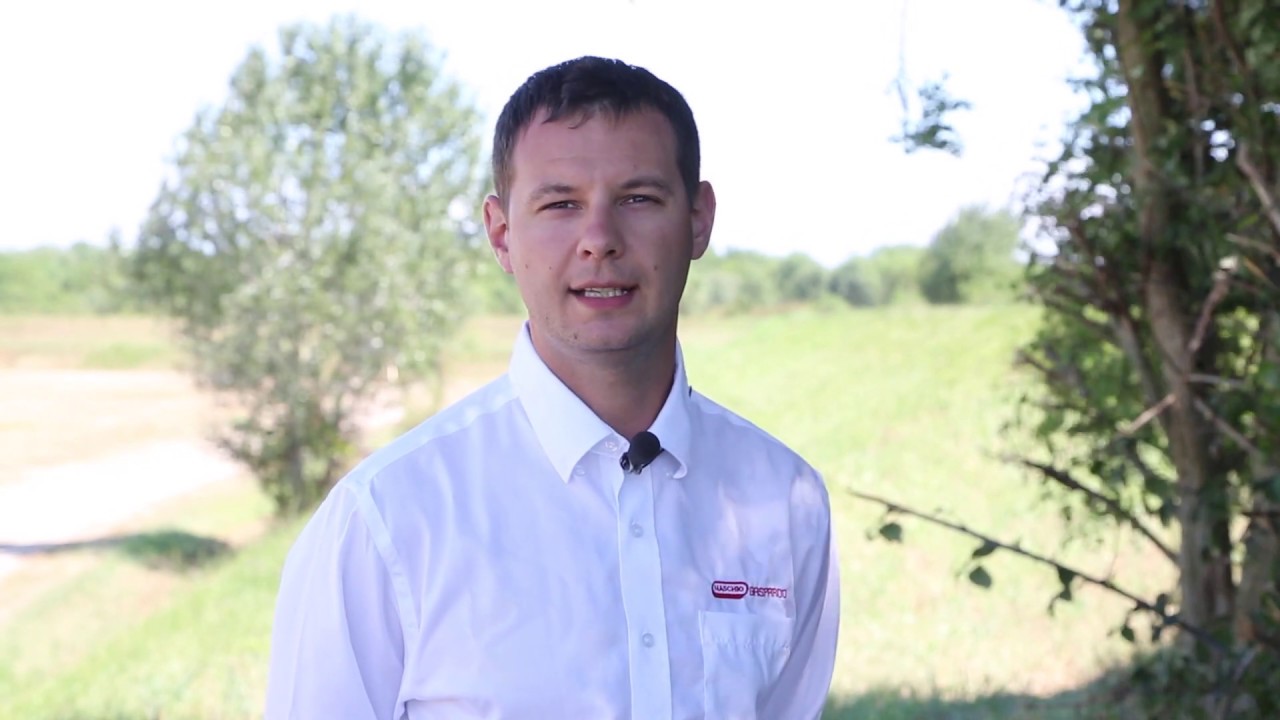 Maschio Gaspardo DIRETTA CORSA 300S- mechanikus direkt gabona és aprómag vetőgép