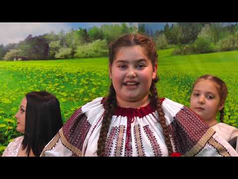 Tomescu Elena Carmen -  Neicuţă, soarele meu