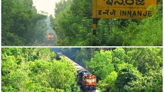 Konkan Railway : Trains ripping through haunted forest station on a rainy day..