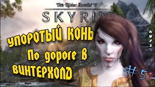 SKYRIM - Упоротый конь по дороге в Винтерхолд! #5
