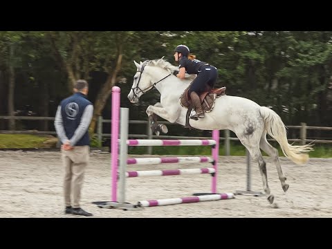 Sarix : extraits du cours de saut du 31 mai 2022 à La Sauvenière