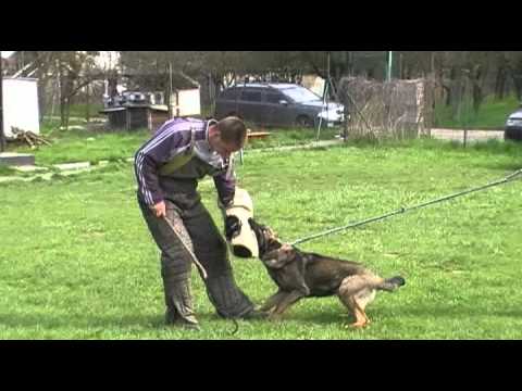 CHICCO Aykmar - 7 months defence