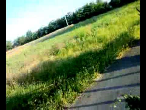 cu magarul independenta calarasi costica