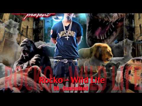 ROCKO   WILD LIFE   08   GUARANTEED