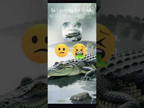 Sa Likod Ng Entablado 