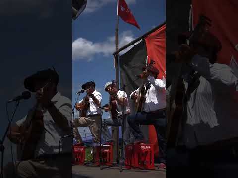 Juan Soler  de bailamos. de San José   19/10/2024