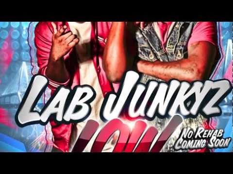 Lab Junkyz - Low