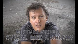 Mrtvej Brouk - Svíčka,med a ořechy