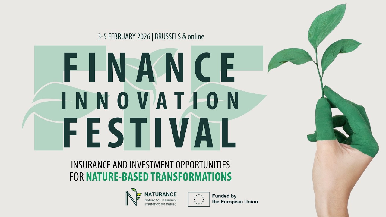 Remco Moen marcar: Dutch ‘tile whipping’ contest seeking to restore nature | NATURANCE