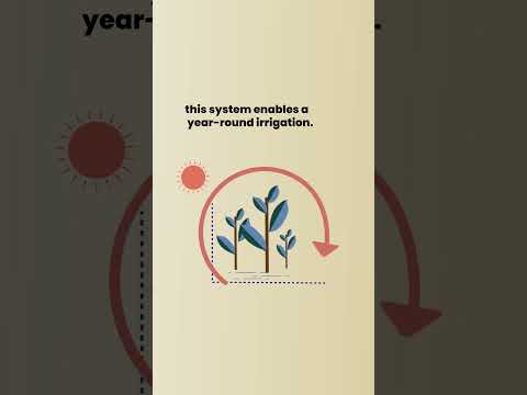 Social Energy Network