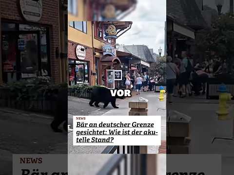 Im Deutschen Oberallgäu wurden Bärenspuren gesehen