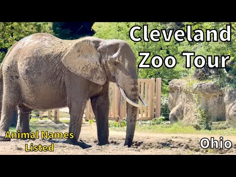 Tour of the Cleveland Metroparks Zoo - Cleveland, Ohio - USA