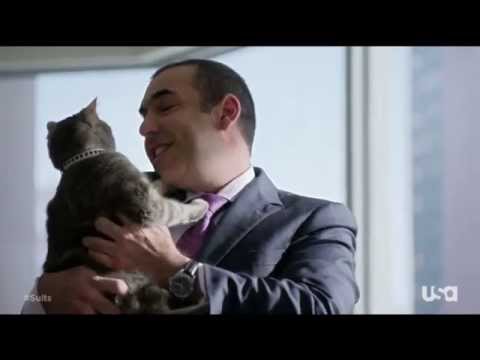 Louis meets Nigel's cat