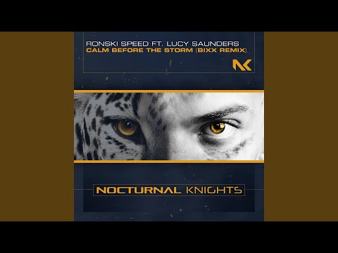 Calm Before the Storm (BiXX Extended Remix)