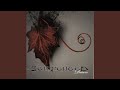 0132 (remastered 2007)