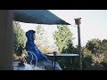 KZ - Directions (Official Music Video) (Prod. Eugene Cam)