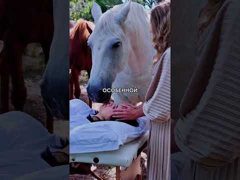 Эти Лошади Почувствовали, Что Это Их Последняя Встреча ❤️