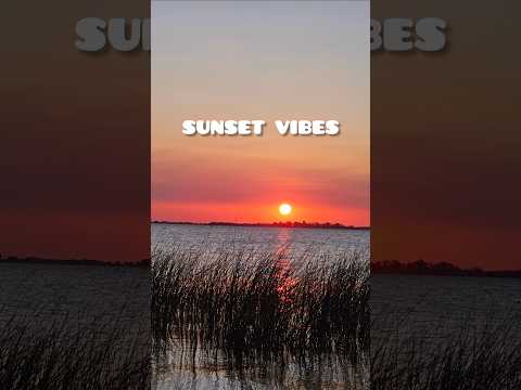 Sunset Vibes 4K 🌅 | Peaceful Lagoon View #shorts